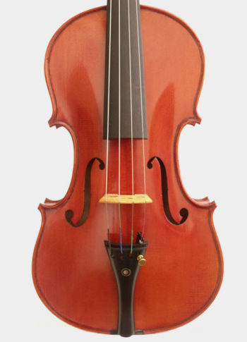 Violon Unique
