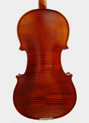 Violon Acoustique