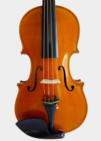 Violon Maestro