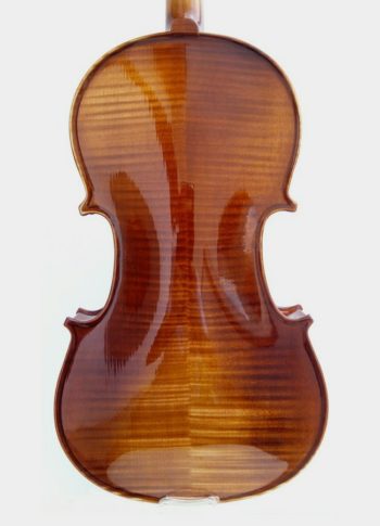 Violon débutant