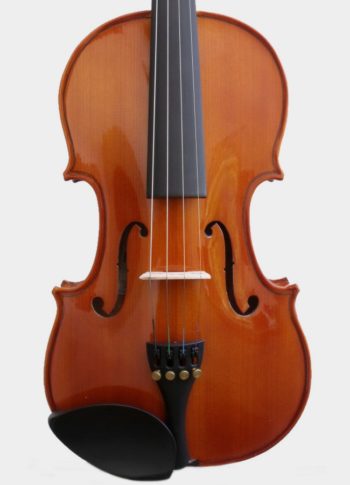 Violon enfant Kid Standard
